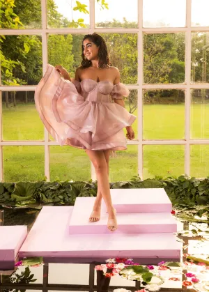 Madeleine Mauve Glitter Organza Corset Dress