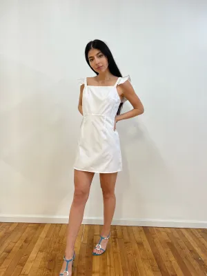 Meet the parents white mini